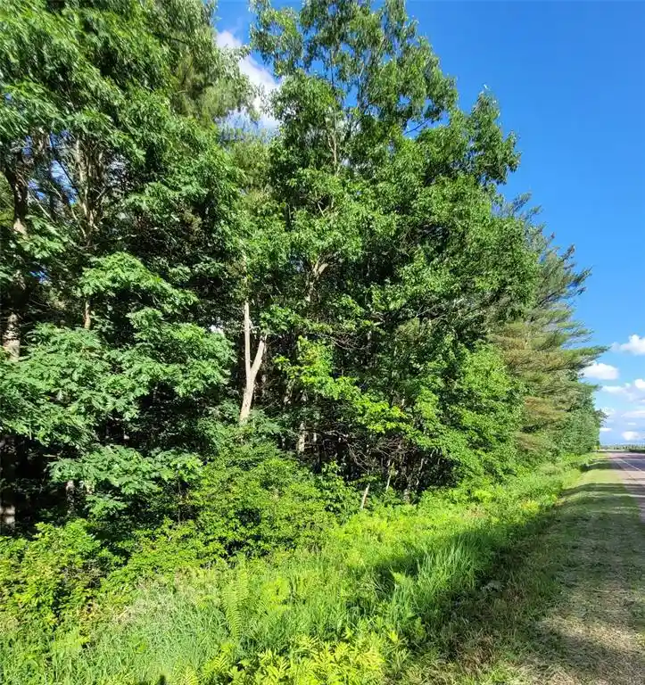 5th image of 000 Us Hwy 12 Lot 4, Merrillan, WI 54754 | MLS# 1603355