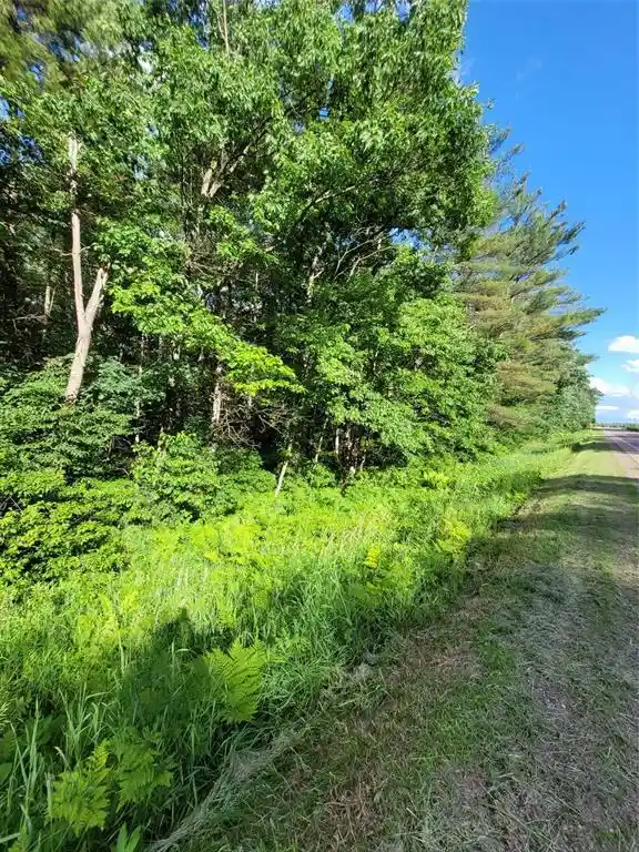 8th image of 000 Us Hwy 12 Lot 4, Merrillan, WI 54754 | MLS# 1603355