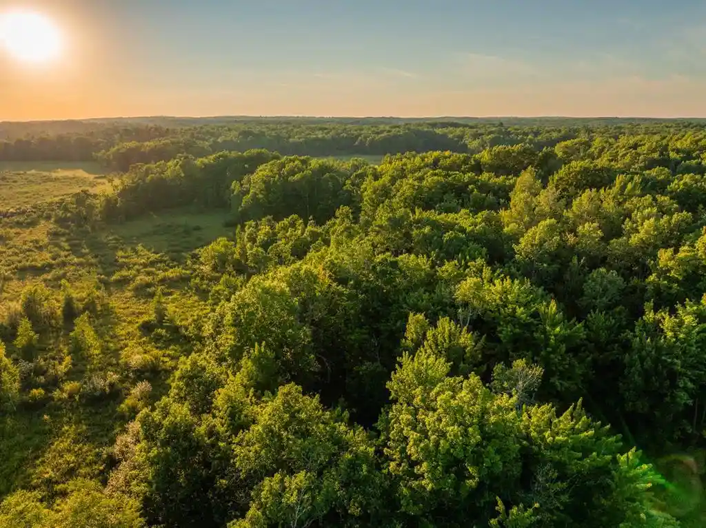 Photo 3 of Land for sale at 00 26 1/2 Avenue Avenue, Cumberland, WI 54829 | MLS# 1603398 | Listing updated on 2026-08-25