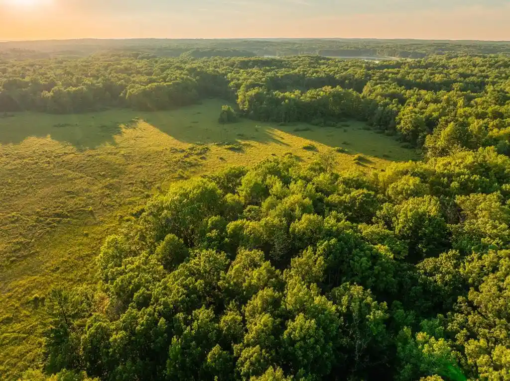 Photo 4 of Land for sale at 00 26 1/2 Avenue Avenue, Cumberland, WI 54829 | MLS# 1603398 | Listing updated on 2026-08-25