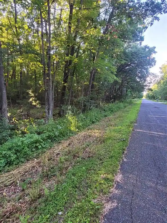 1st image of 00 Old Hwy 12 Lot 5, Merrillan, WI 54754 | MLS# 1602922