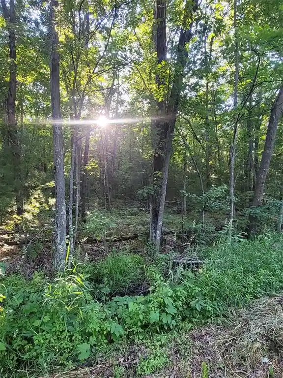 2nd image of 00 Old Hwy 12 Lot 5, Merrillan, WI 54754 | MLS# 1602922