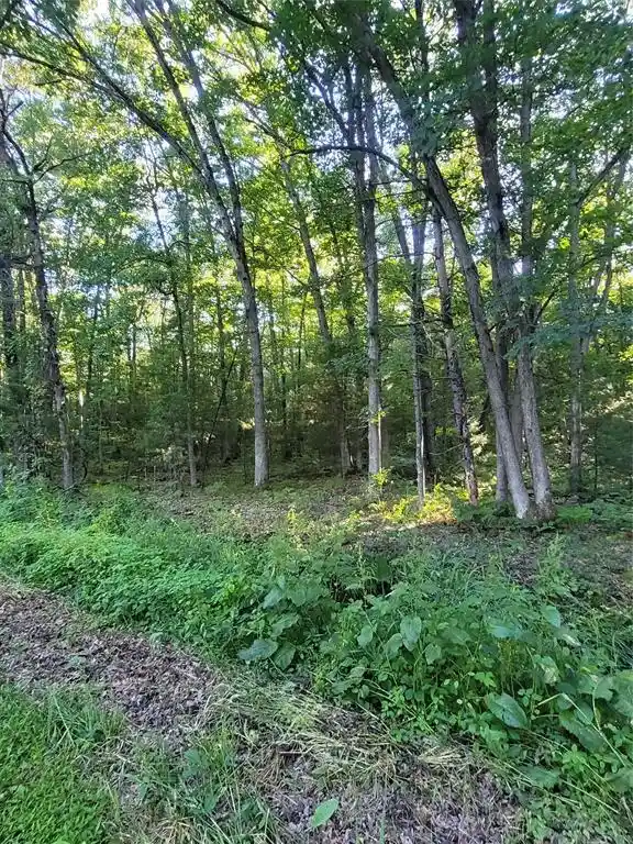 3rd image of 00 Old Hwy 12 Lot 5, Merrillan, WI 54754 | MLS# 1602922