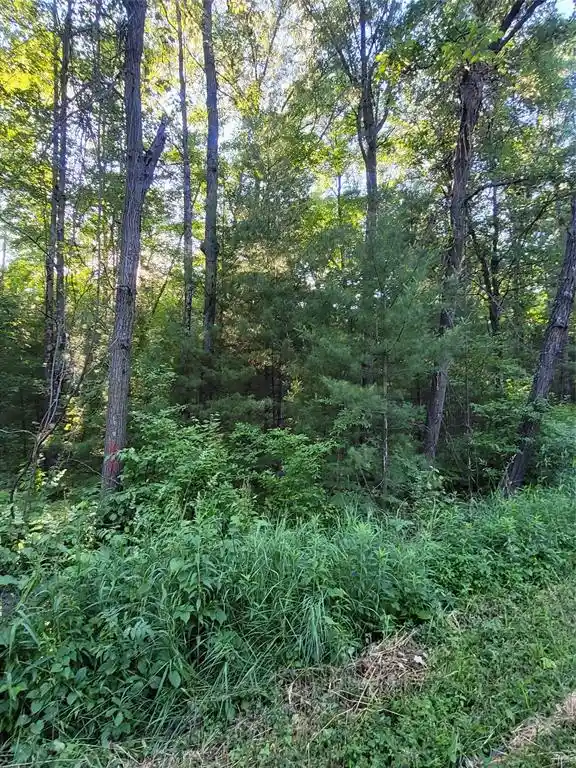 4th image of 00 Old Hwy 12 Lot 5, Merrillan, WI 54754 | MLS# 1602922