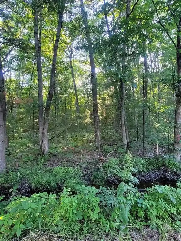 5th image of 00 Old Hwy 12 Lot 5, Merrillan, WI 54754 | MLS# 1602922