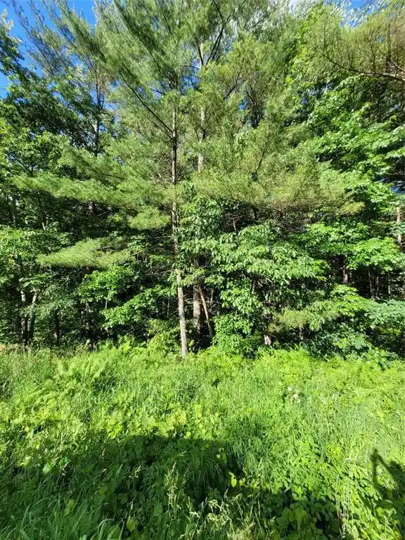 9th image of 00 Old Hwy 12 Lot 5, Merrillan, WI 54754 | MLS# 1602922