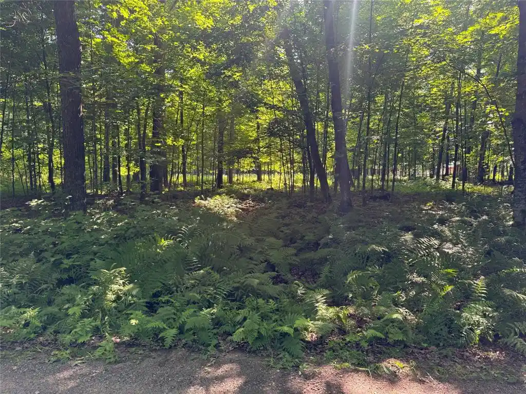 3rd image of Lot 8 Crane Lane Lane, Hayward, WI 54843 | MLS# 1603375