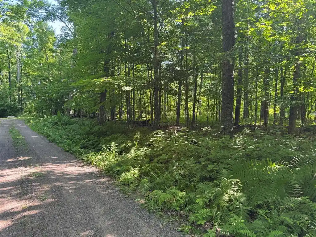 4th image of Lot 8 Crane Lane Lane, Hayward, WI 54843 | MLS# 1603375
