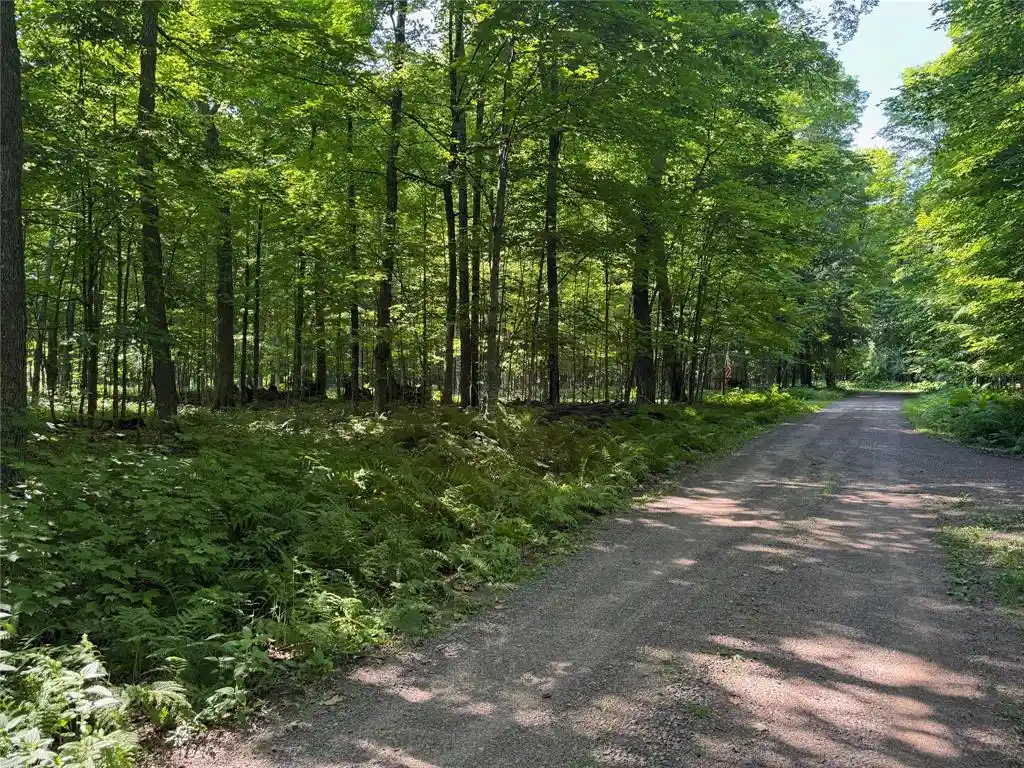 5th image of Lot 8 Crane Lane Lane, Hayward, WI 54843 | MLS# 1603375