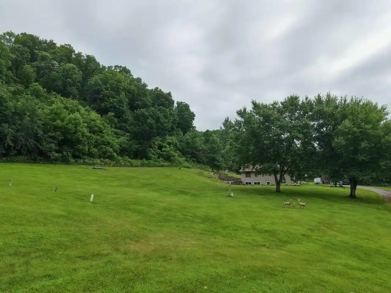 42nd image of 23353 Hwy 61, Boscobel, WI 53805 | MLS# 2028458