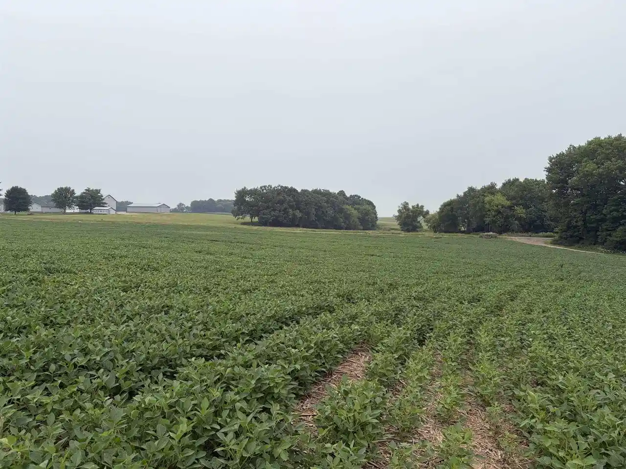 Photo 3 of Land for sale at 2293 W Ridge Road Road, Cottage Grove, WI 53527 | MLS# 2028462 | Listing updated on 2026-07-20