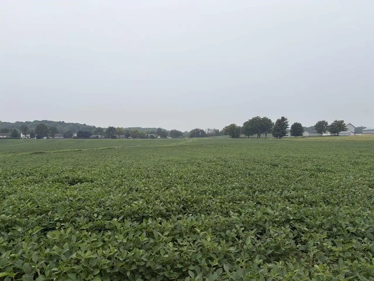 Photo 4 of Land for sale at 2293 W Ridge Road Road, Cottage Grove, WI 53527 | MLS# 2028462 | Listing updated on 2026-07-20