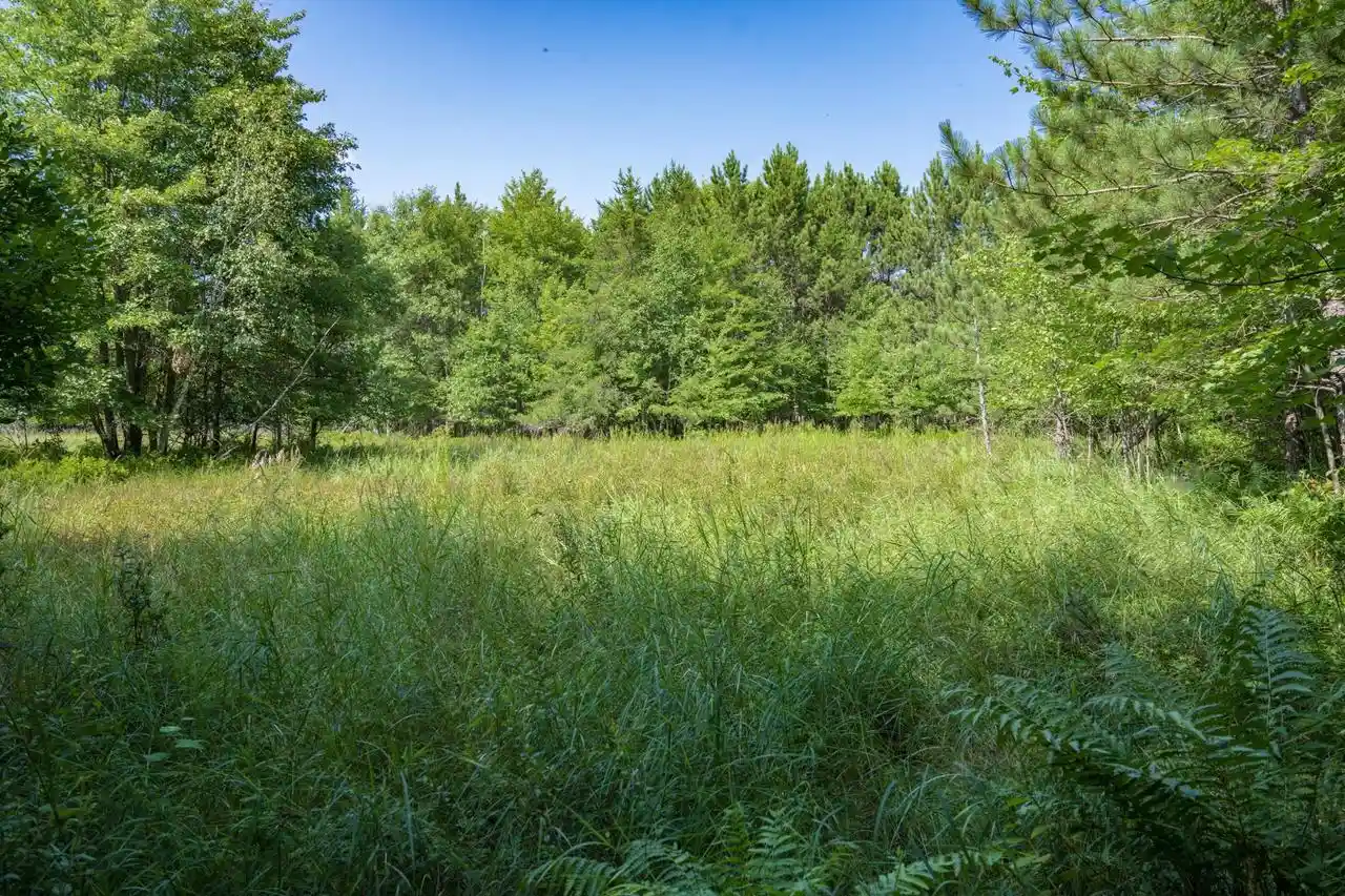 2nd image of L1 20 Ac 18th Ave, Friendship, WI 53934 | MLS# 2028475