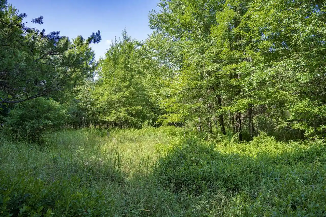 3rd image of L1 20 Ac 18Th Ave, Friendship, WI 53934 | MLS# 2028475