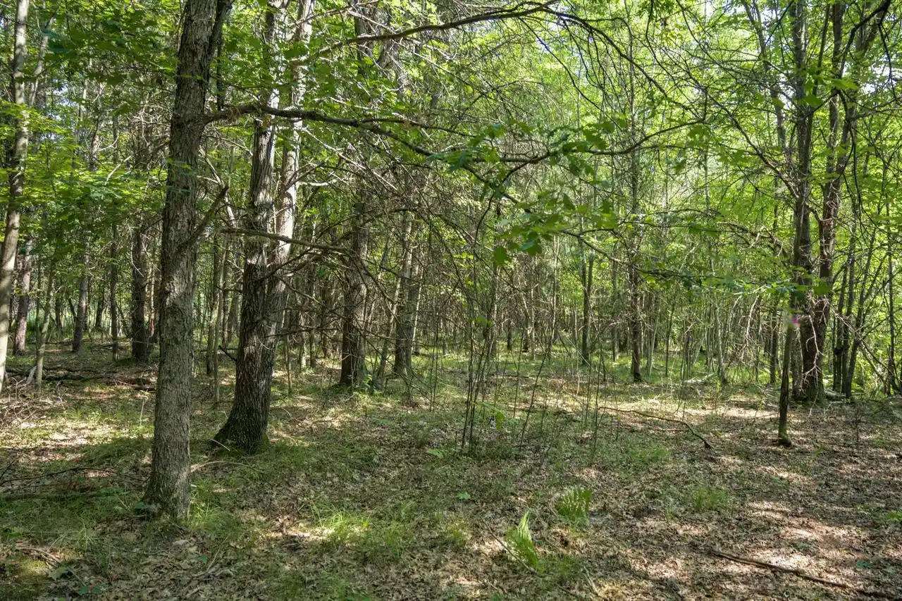 4th image of L1 20 Ac 18Th Ave, Friendship, WI 53934 | MLS# 2028475