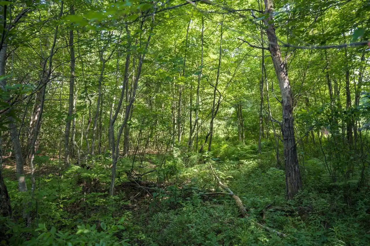 15th image of L1 20 Ac 18th Ave, Friendship, WI 53934 | MLS# 2028475