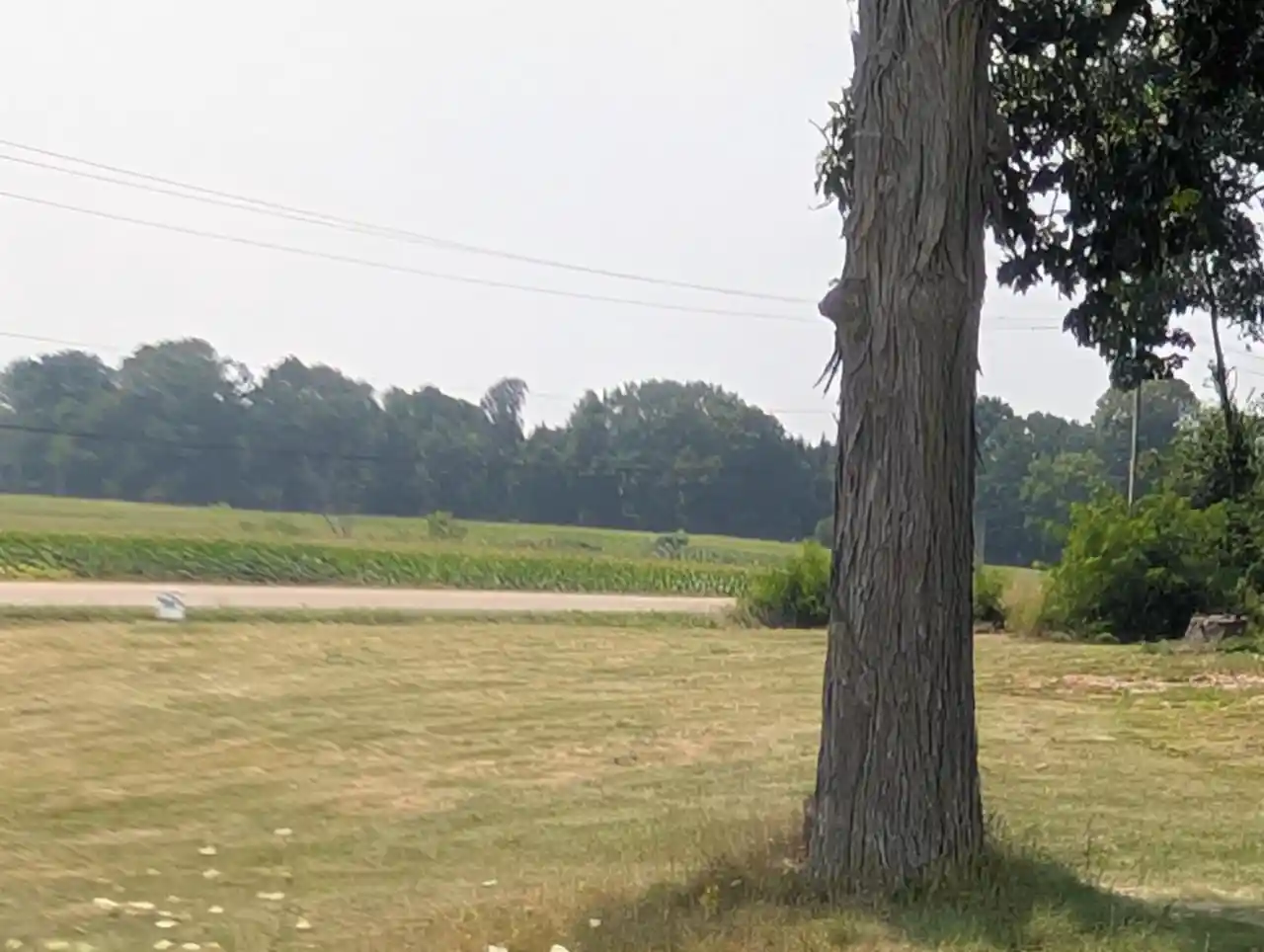 7th image of N4745 Otto Road Road, New London, WI 54961 | MLS# 50329453