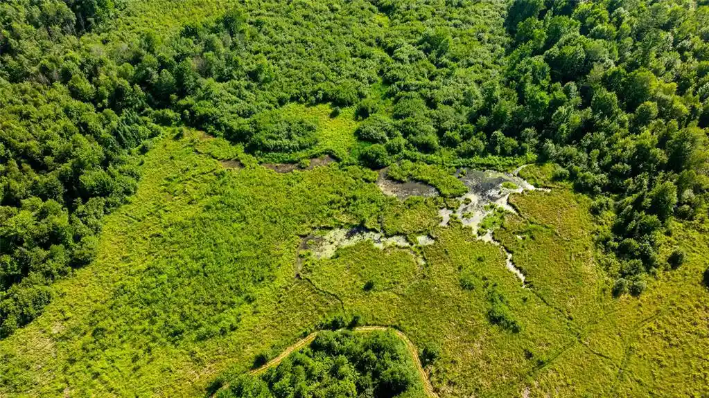 4th image of W5343 County Road X, Glen Flora, WI 54526 | MLS# 1603306