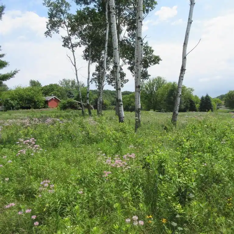 Photo 1 of Land for sale at Lot 12 516th Street Street, Menomonie, WI 54751 | MLS# 1603465 | Listing updated on 2026-09-16