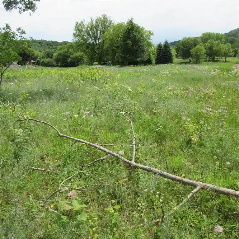 Photo 3 of Land for sale at Lot 12 516Th Street Street, Menomonie, WI 54751 | MLS# 1603465 | Listing updated on 2026-09-16