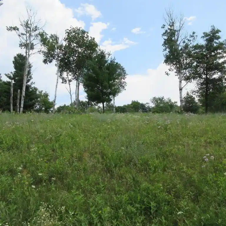 Photo 1 of Land for sale at Lot 13 516th Street Street, Menomonie, WI 54751 | MLS# 1603467 | Listing updated on 2026-09-16
