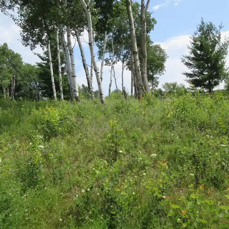 Photo 2 of Land for sale at Lot 13 516th Street Street, Menomonie, WI 54751 | MLS# 1603467 | Listing updated on 2026-09-16