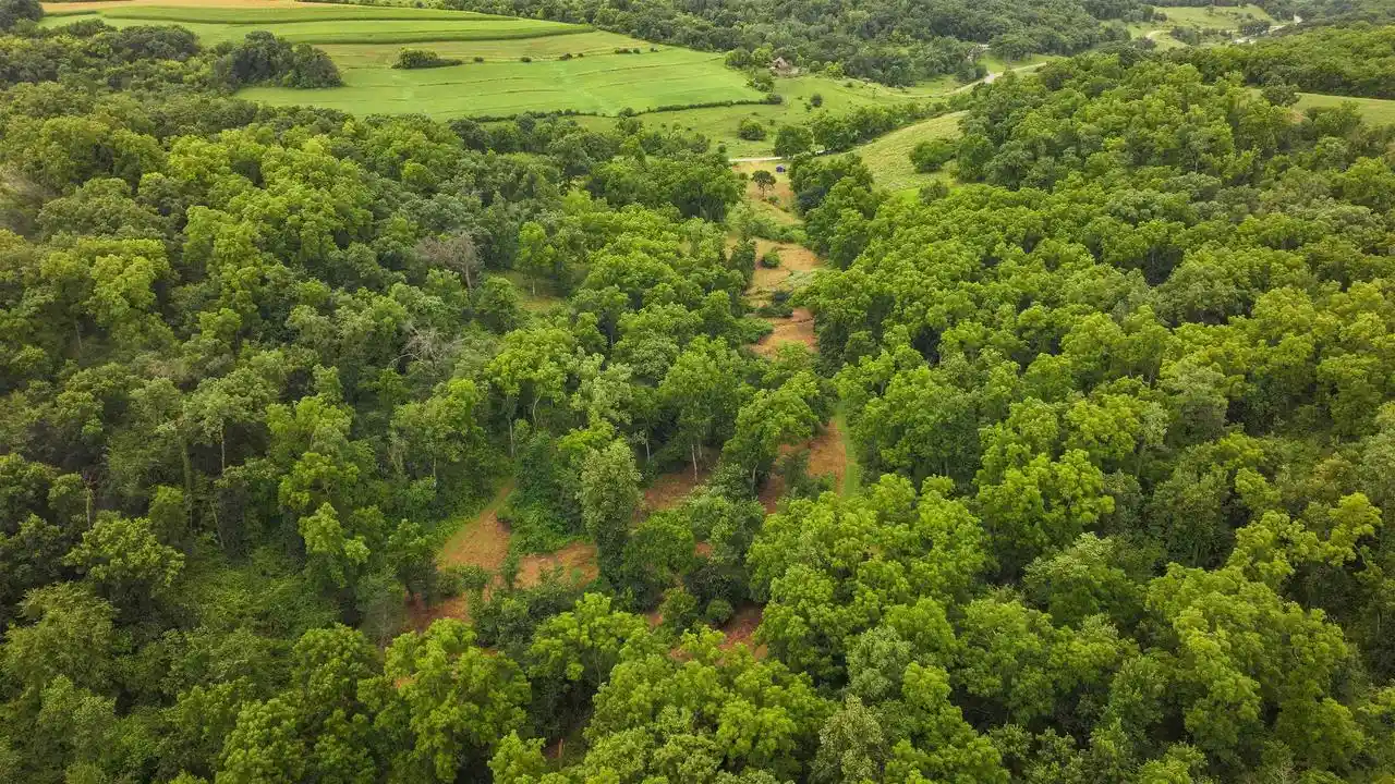2nd image of 75� Acres Cannon Road, Lancaster, WI 53813 | MLS# 2028569