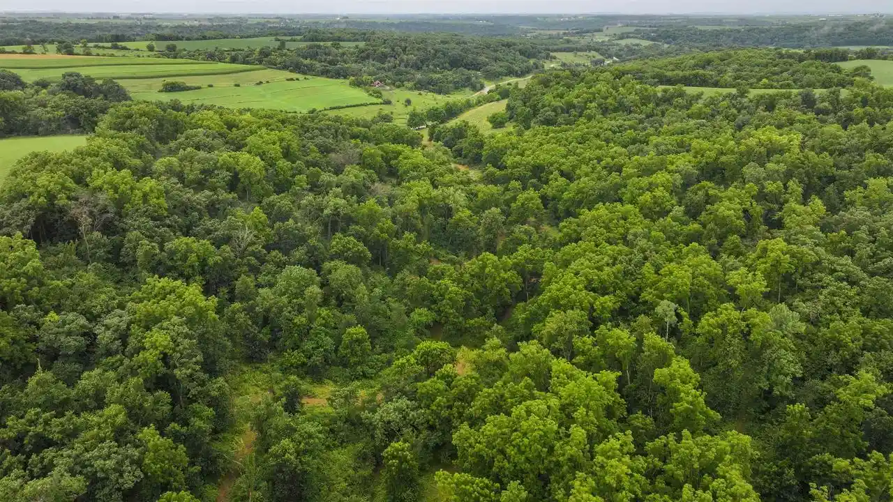 4th image of 75� Acres Cannon Road, Lancaster, WI 53813 | MLS# 2028569