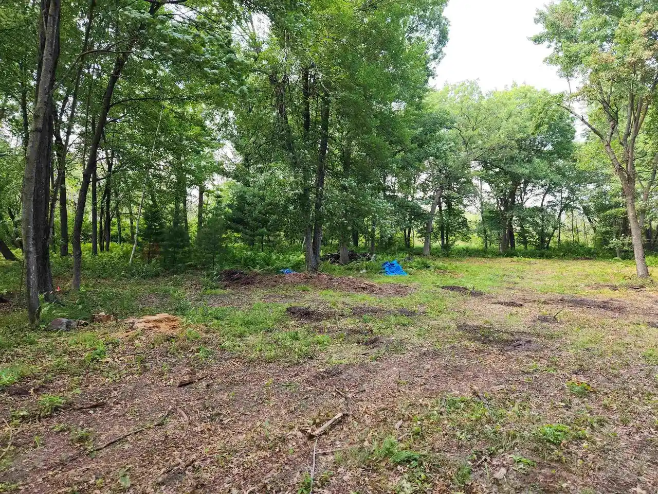 4th image of State Road 21 Road Road, Redgranite, WI 54970 | MLS# 2028581