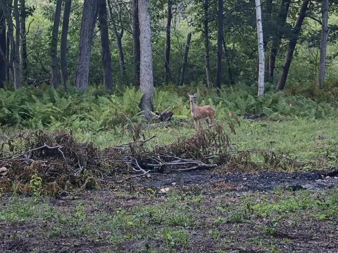 Photo 3 of Land for sale at 2022 Ac State Road 21, Redgranite, WI 54970 | MLS# 2028582 | Listing updated on 2026-08-23