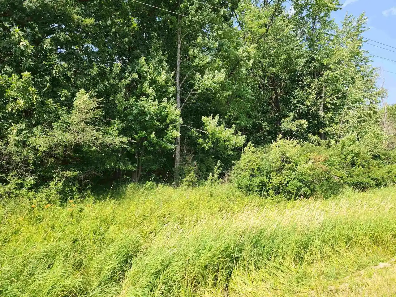18th image of 2022 Ac State Road 21, Redgranite, WI 54970 | MLS# 2028582
