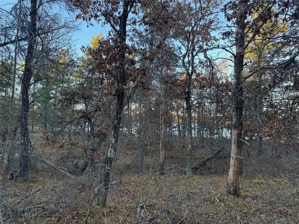 Homes for sale in Minong, WI | Lot 3 Big Sand Road Road, Minong, WI 54859 | MLS# 1603418