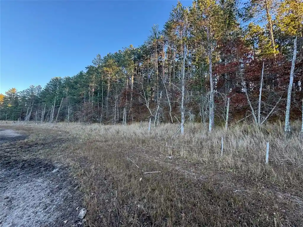 Homes for sale in Minong, WI | Lot 4 Big Sand Road Road, Minong, WI 54859 | MLS# 1603419
