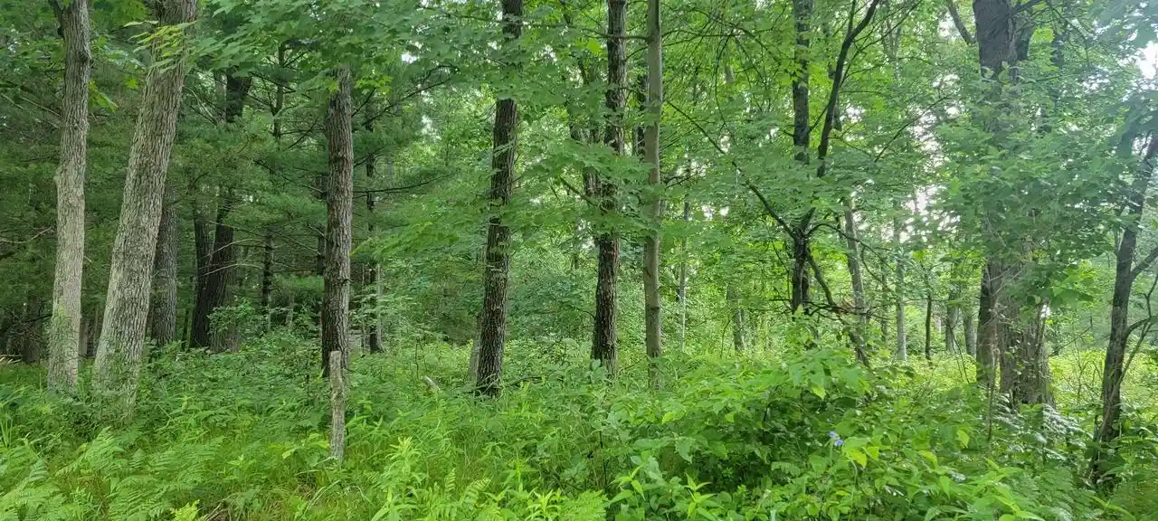 4th image of 2978 6Th Avenue Avenue, Grand Marsh, WI 53936 | MLS# 22603441