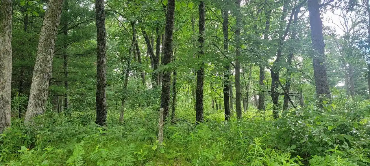 5th image of 2978 6Th Avenue Avenue, Grand Marsh, WI 53936 | MLS# 22603441