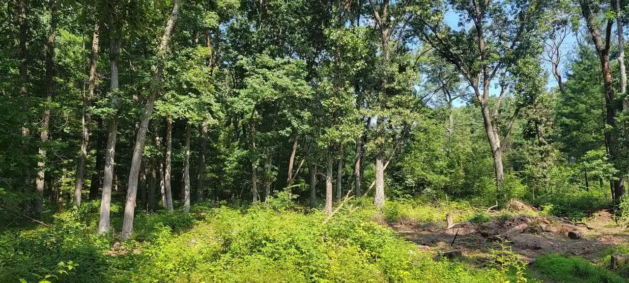 8th image of 2978 6th Avenue Avenue, Grand Marsh, WI 53936 | MLS# 22603441