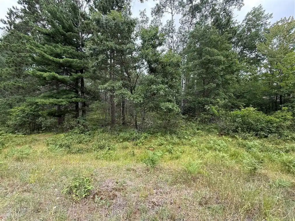 Photo 1 of Land for sale at Lot 56 George Lake Road Road, Solon Springs, WI 54873 | MLS# 1603502 | Listing updated on 2026-07-22