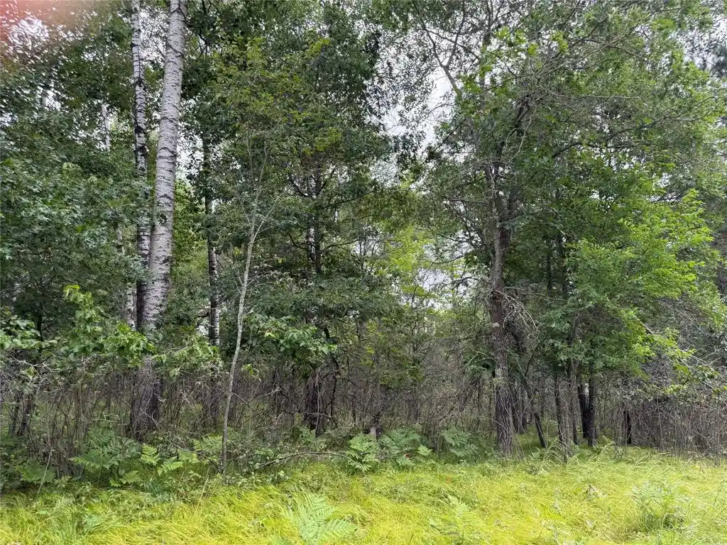 Photo 2 of Land for sale at Lot 56 George Lake Road Road, Solon Springs, WI 54873 | MLS# 1603502 | Listing updated on 2026-07-22