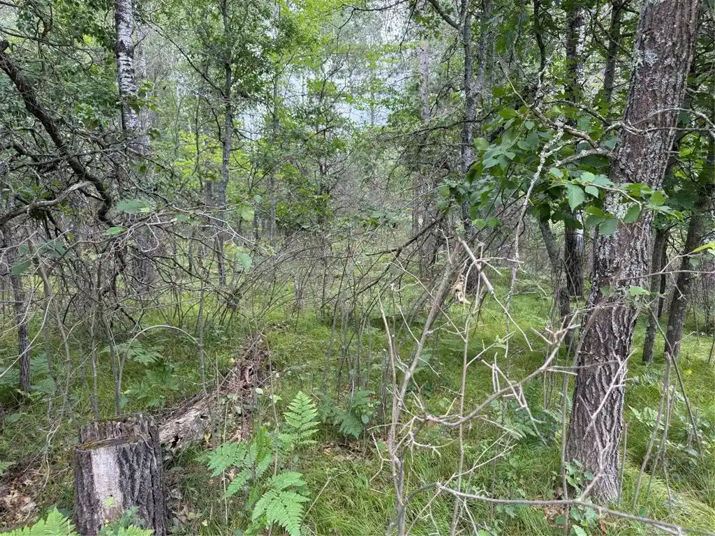 Photo 3 of Land for sale at Lot 56 George Lake Road Road, Solon Springs, WI 54873 | MLS# 1603502 | Listing updated on 2026-07-22