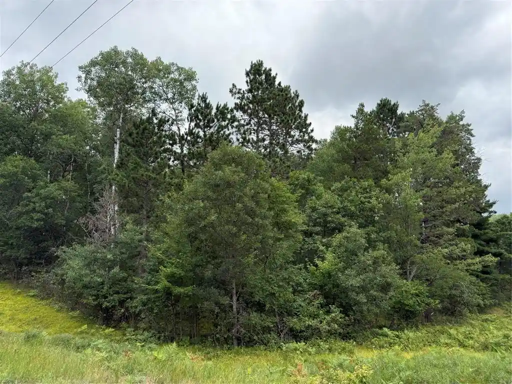 Photo 4 of Land for sale at Lot 56 George Lake Road Road, Solon Springs, WI 54873 | MLS# 1603502 | Listing updated on 2026-07-22