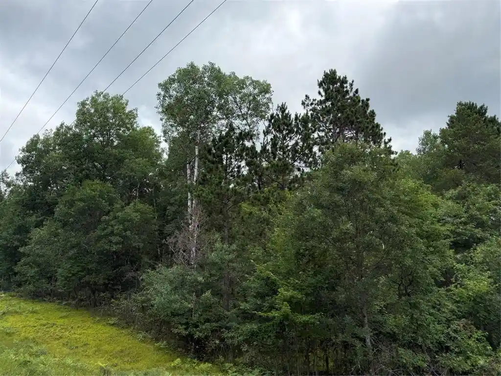Photo 6 of Land for sale at Lot 56 George Lake Road Road, Solon Springs, WI 54873 | MLS# 1603502 | Listing updated on 2026-07-22