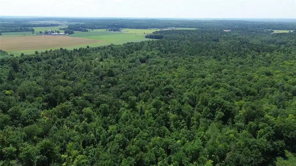 3rd image of 13743W State Hwy 77, Hayward, WI 54843 | MLS# 1603311