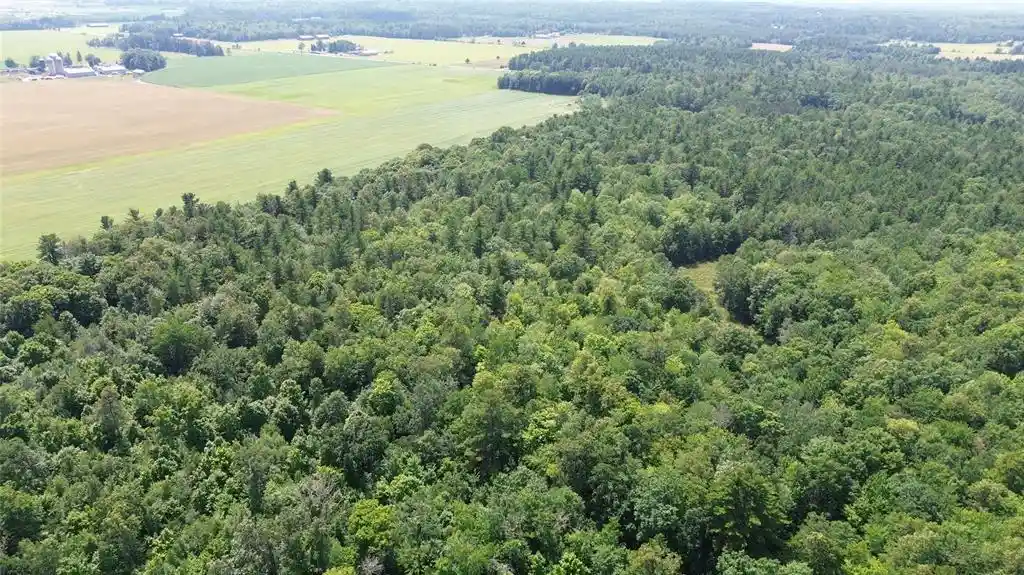 4th image of 13743W State Hwy 77, Hayward, WI 54843 | MLS# 1603311
