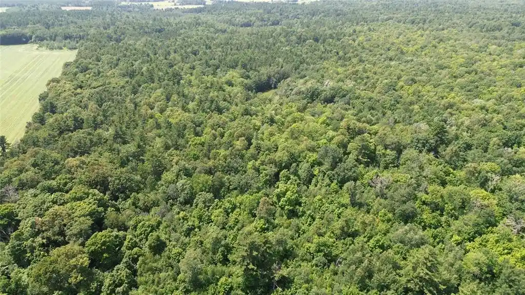 5th image of 13743W State Hwy 77, Hayward, WI 54843 | MLS# 1603311
