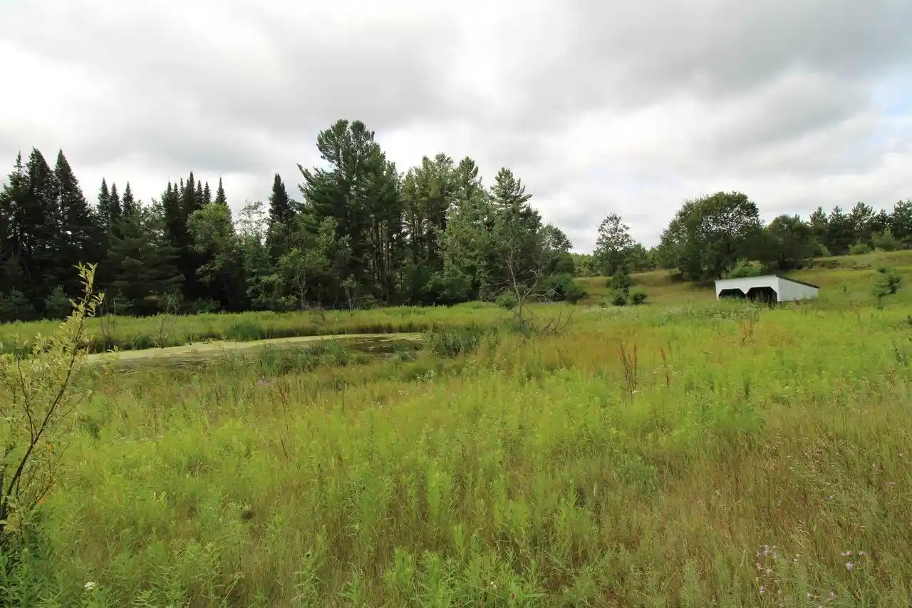 2nd image of 10005 Badger Dr Dr, Amherst, WI 54406 | MLS# 2028636