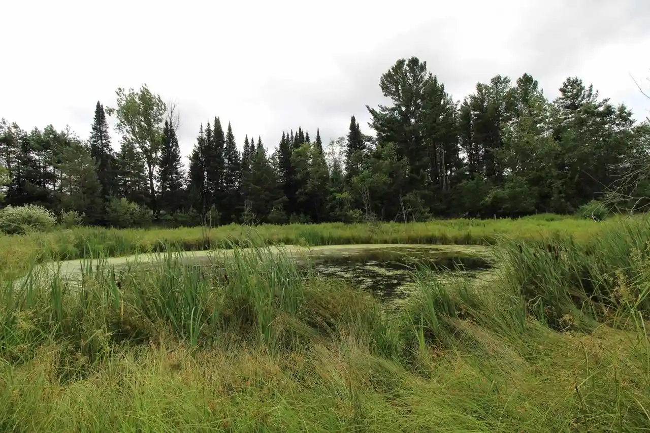3rd image of 10005 Badger Dr Dr, Amherst, WI 54406 | MLS# 2028636