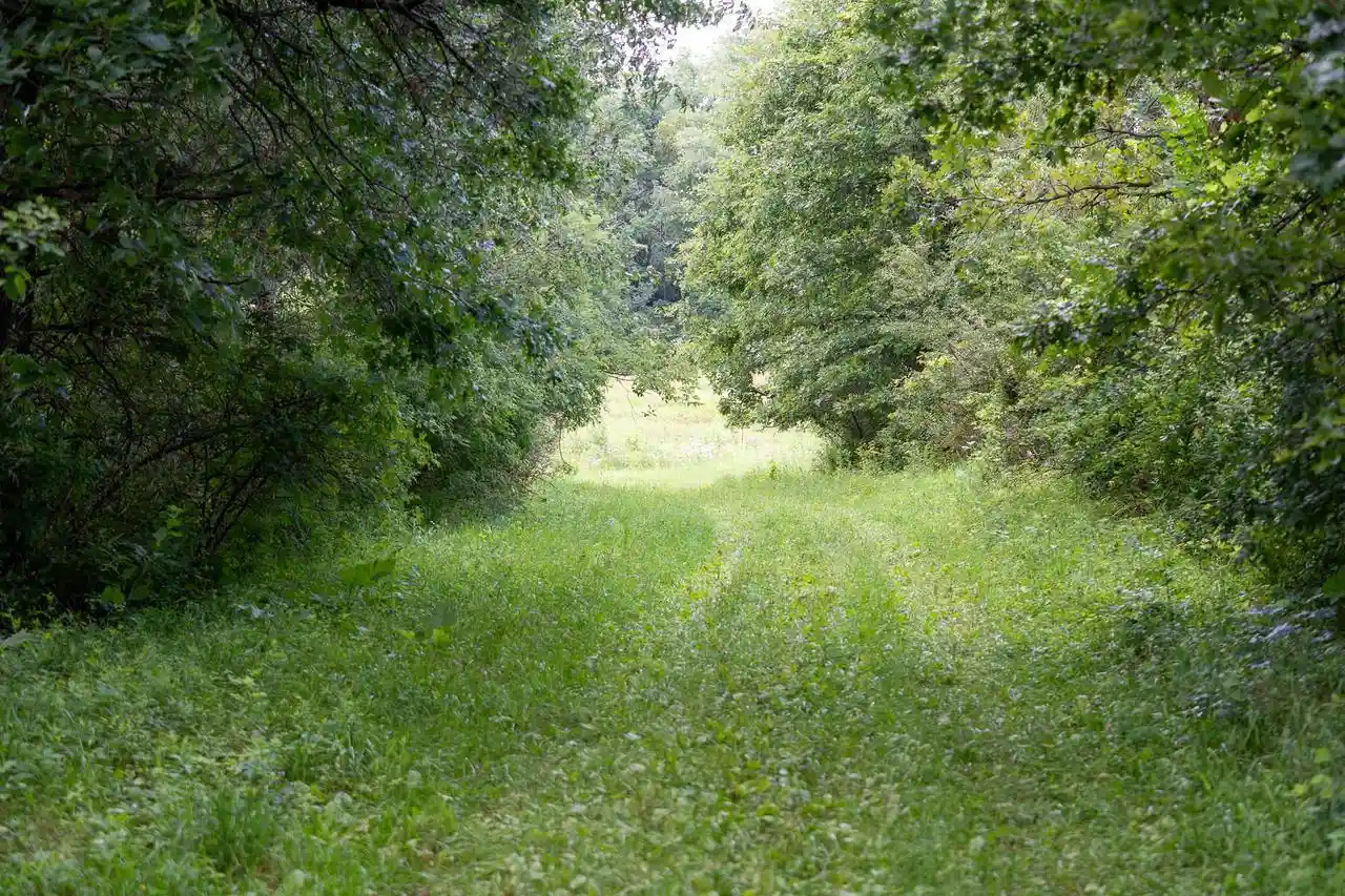 2nd image of (Undisclosed), Dodgeville, WI 53533 | MLS# 2028637