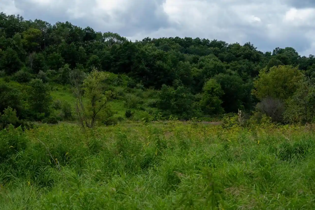 31st image of (Undisclosed), Dodgeville, WI 53533 | MLS# 2028637