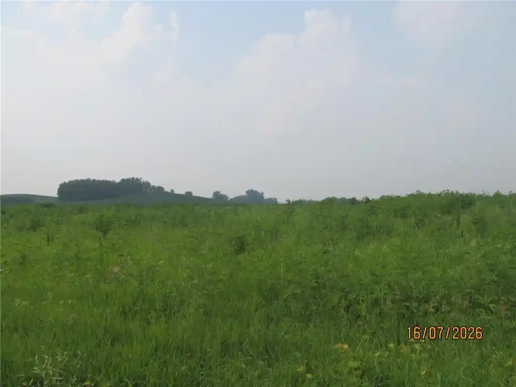 Photo 1 of Land for sale at Lot 7 Benson Lane Lane, Roberts, WI 54023 | MLS# 7113727 | Listing updated on 2026-08-19