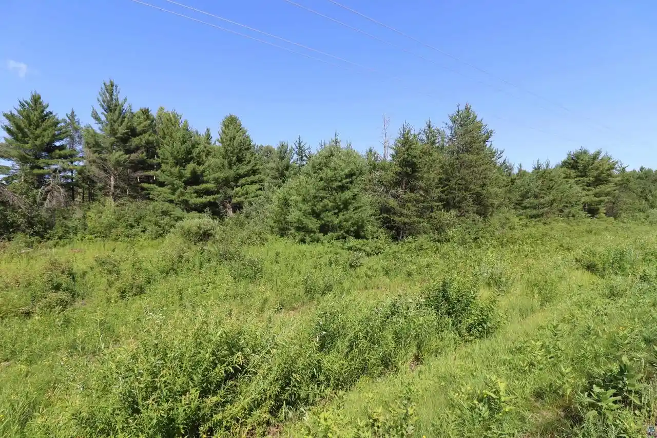 Photo 2 of Land for sale at 651Xx Old Odanah Rd Rd, Ashland, WI 54806 | MLS# 6126909 | Listing updated on 2026-08-27